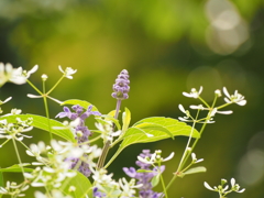P7310200