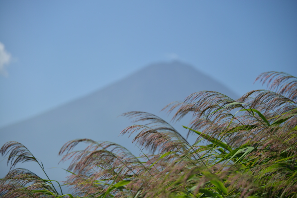 初秋