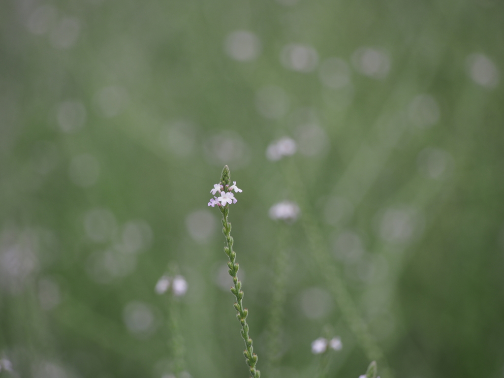 P7310163