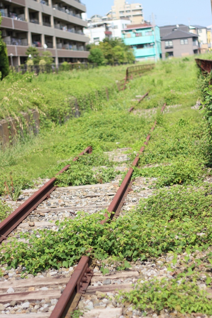 眠る線路