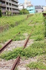 眠る線路