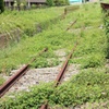 眠る線路