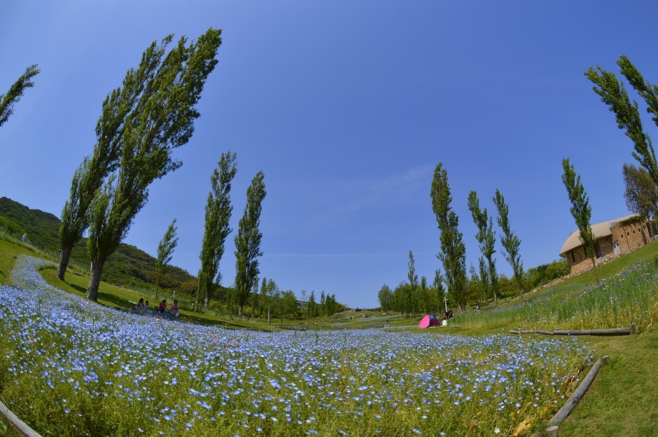 淡路島国営明石海峡公園1