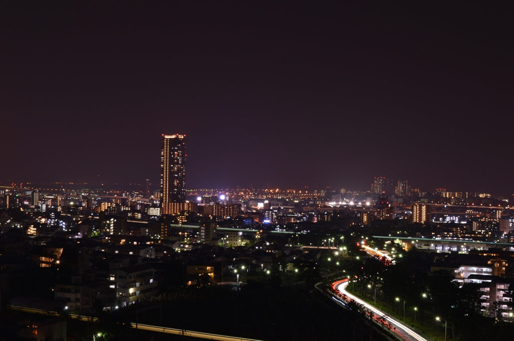 サイコーな夜景。