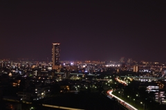 サイコーな夜景。