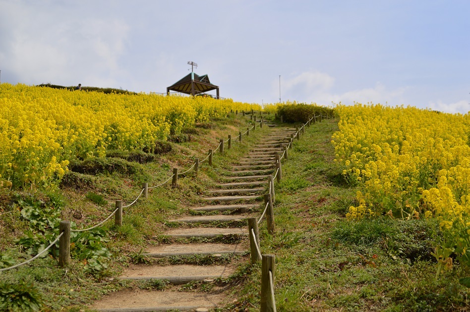 神戸総合運動公園