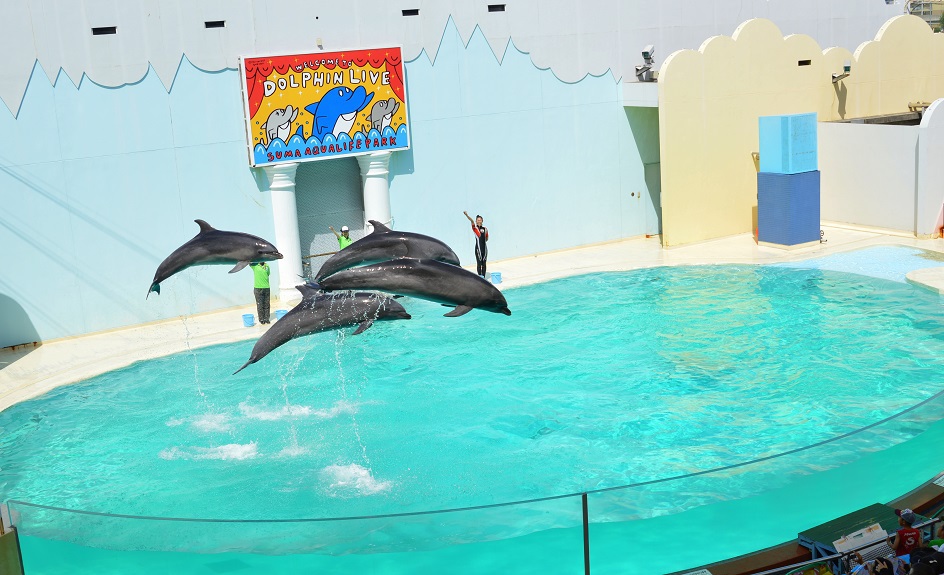 須磨水族館1