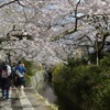 哲学の道4
