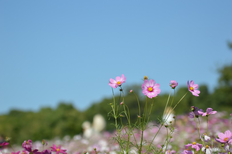 万博公園～その2～