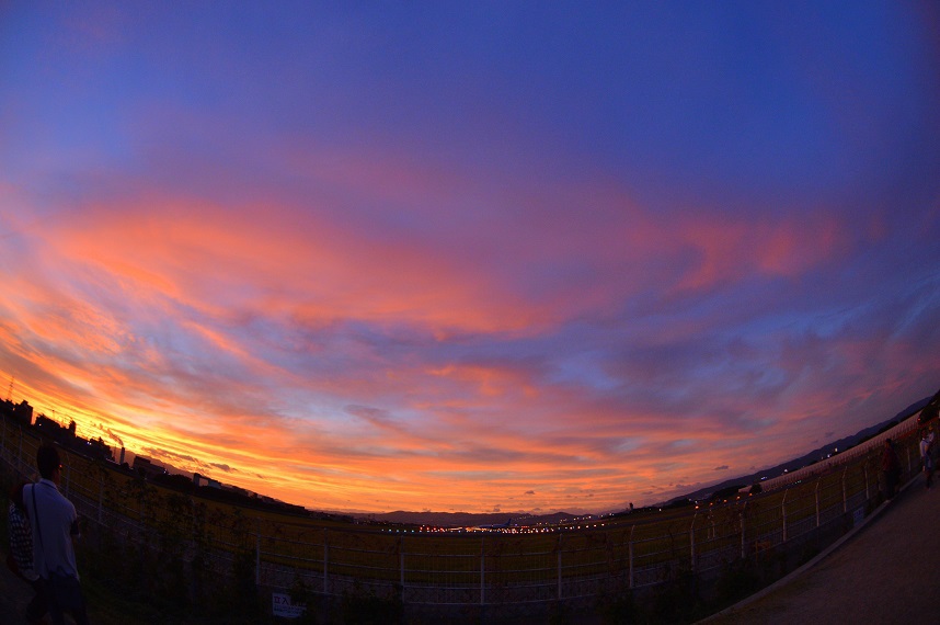 千里川夕焼け