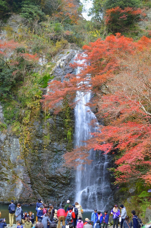 箕面の滝6