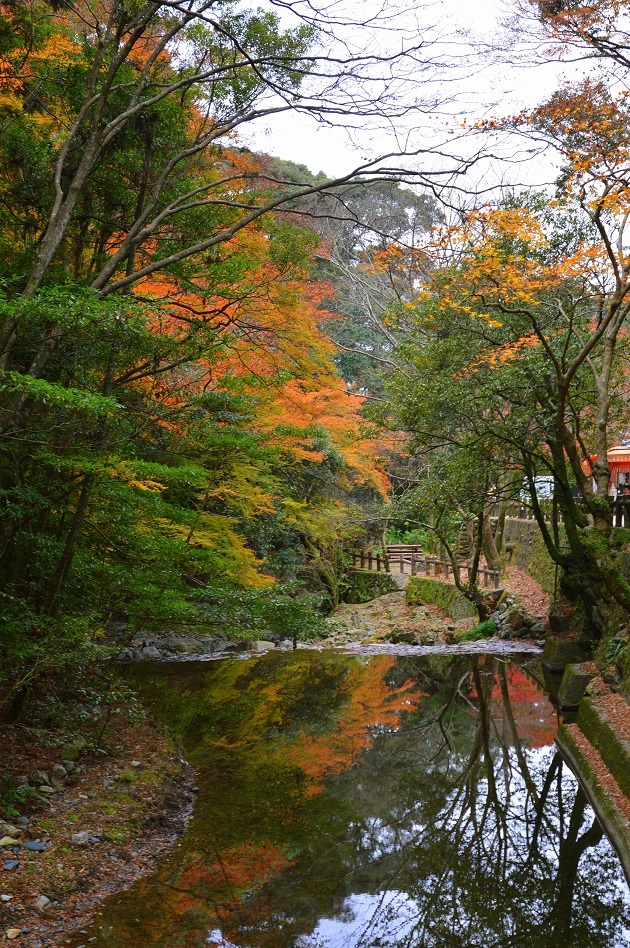 箕面紅葉7