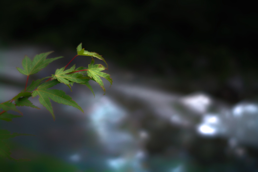 SDIM0591-1
