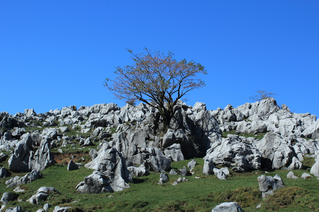 四国カルスト②