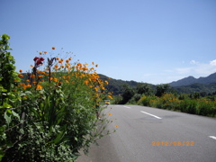 愛川町　峯の原