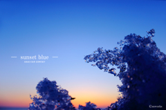 sunset blue