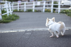 ふと振り返る