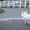 ふと振り返る