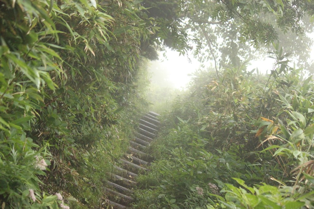山道