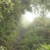 山道