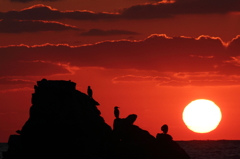 海鳥と夕陽