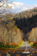 冬支度の山