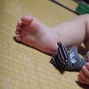 あんよ