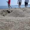 夏の思い出
