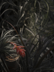R0012280