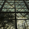 SKYLIGHT
