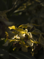 R0012276