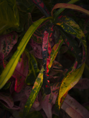R0012277
