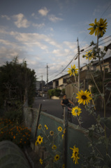 夕餉の時間