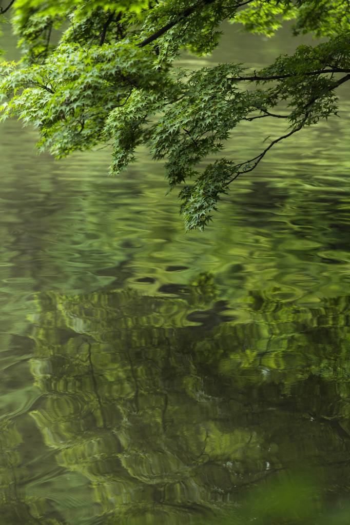 水鏡