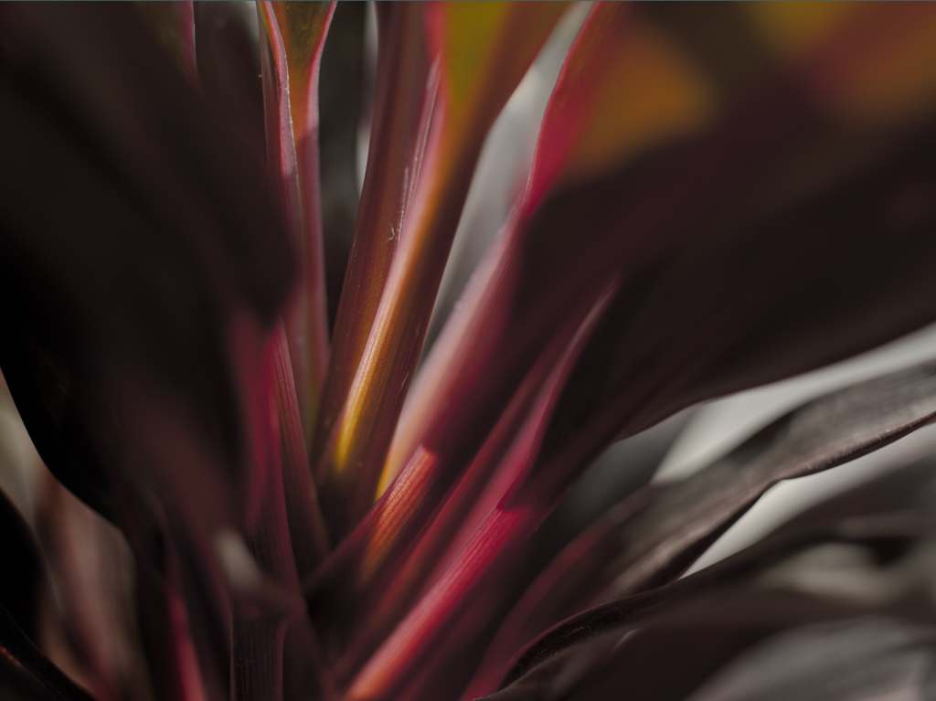 R0012223