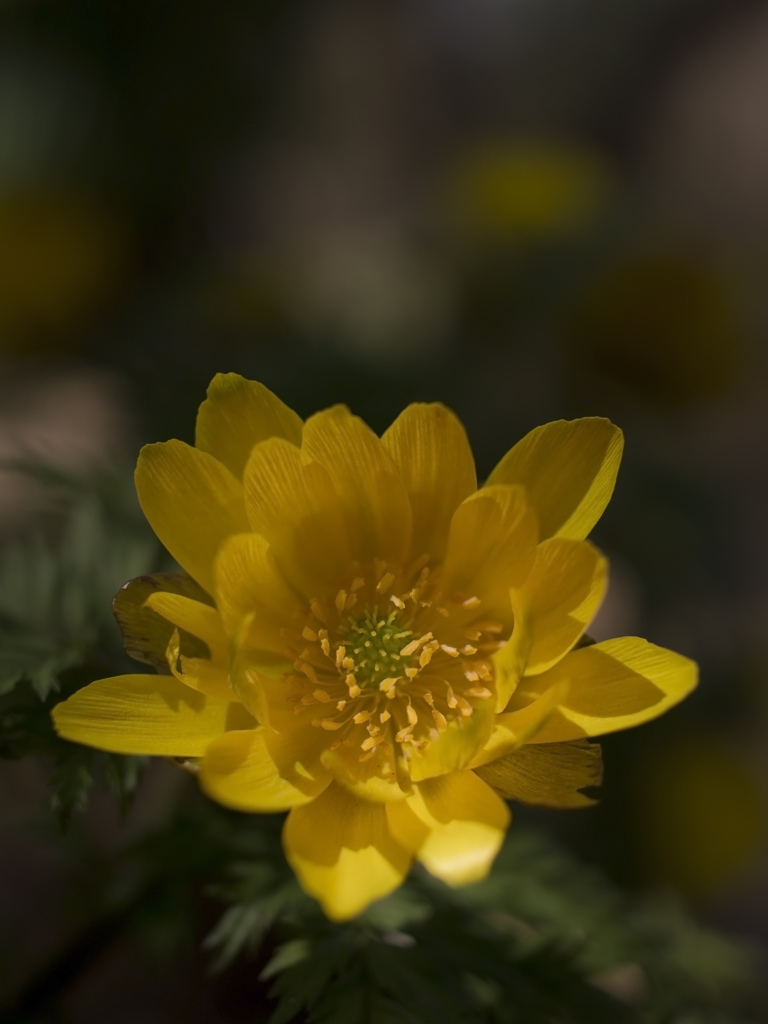 R0012357