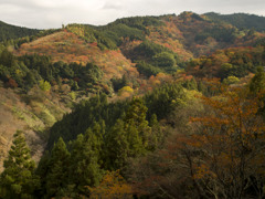 吉野山