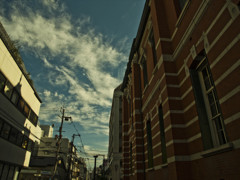 夏の終わり1