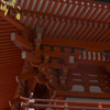 お散歩　下鴨神社～哲学の道　2