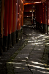 お散歩　下鴨神社～哲学の道　3