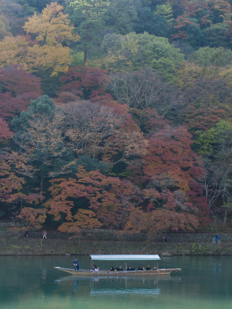 嵐山1