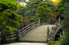 京都御苑の庭