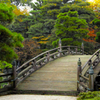 京都御苑の庭