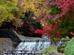 下呂　雨情公園の紅葉