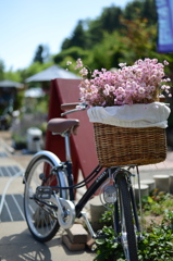 flower basket