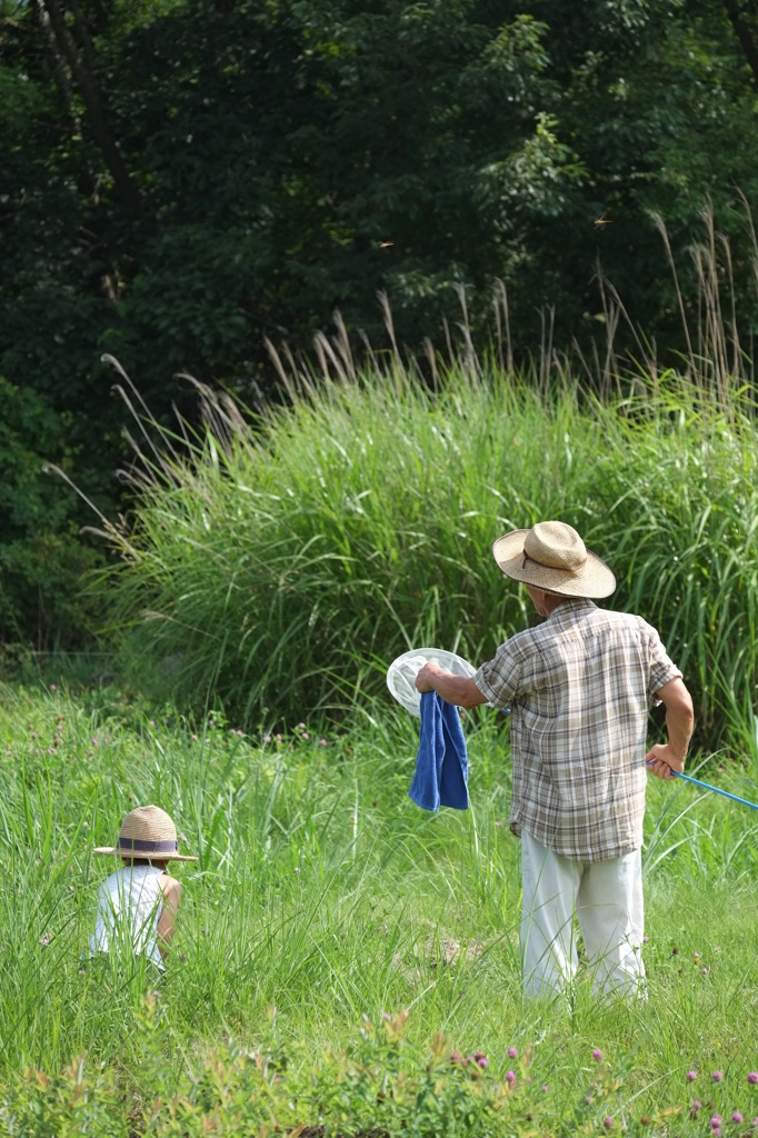 爺ちゃんと虫取り
