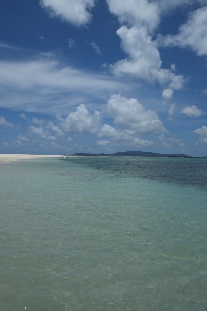 見た景色、そのままに撮影できるレンズです。