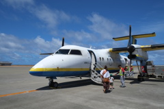 使い勝手の良いレンズですね