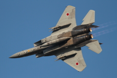 2013　岐阜基地航空祭予行　F-15J　（3）