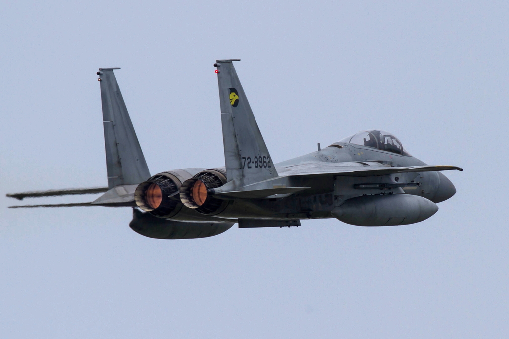 2014　静浜基地　航空祭　F-15J